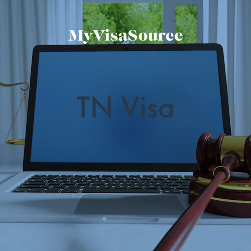 applying-for-a-tn-visa-what-you-need-to-know-my-visa-source